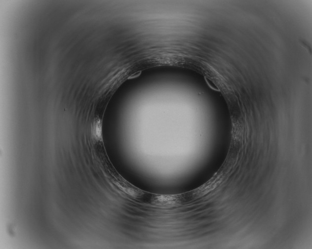 X0000097470095200802291321