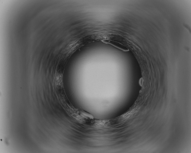 X0000097470096200802291321