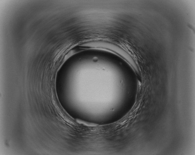 X0000097470097200802291321