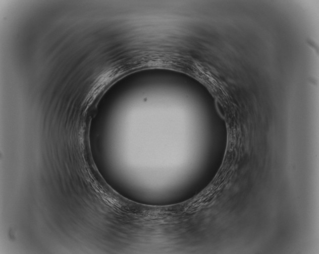 X0000097470098200802291321