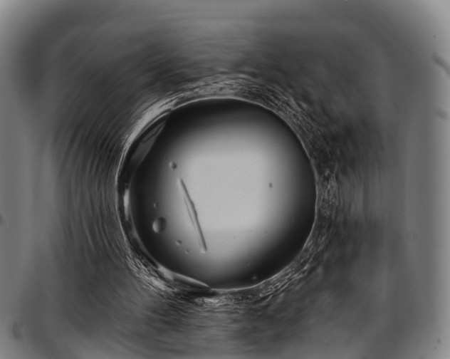 X0000097470100200802291321