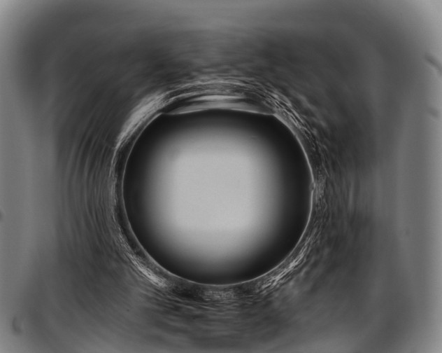 X0000097470101200802291321