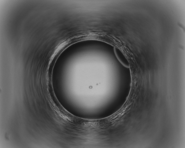X0000097470102200802291321