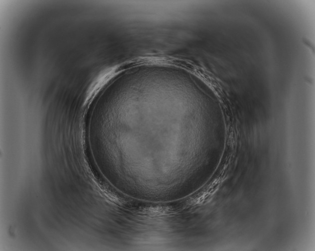 X0000097470103200802291320