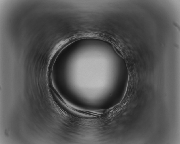 X0000097470104200802291320