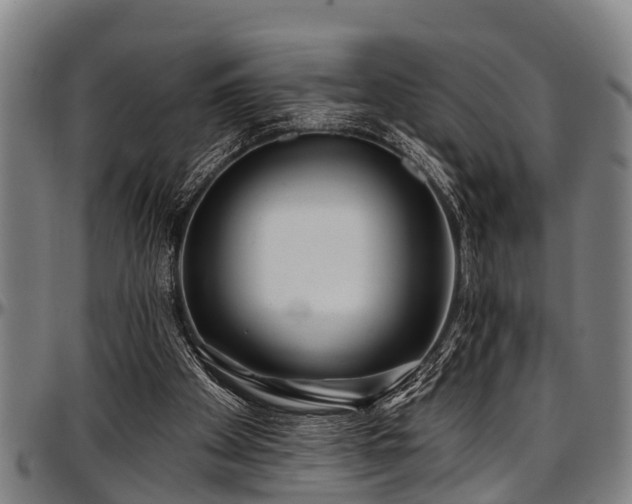 X0000097470105200802291320