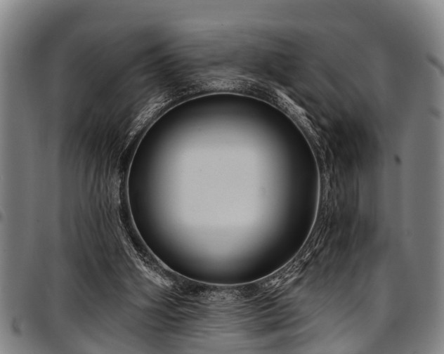 X0000097470106200802291320
