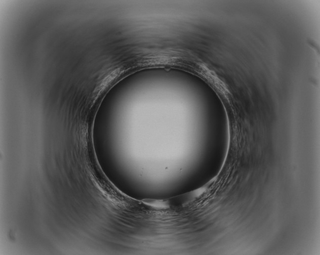 X0000097470107200802291320