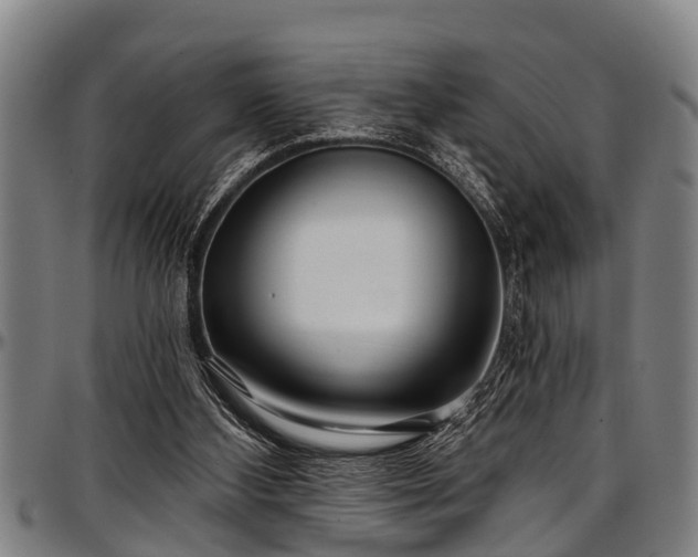 X0000097470108200802291320