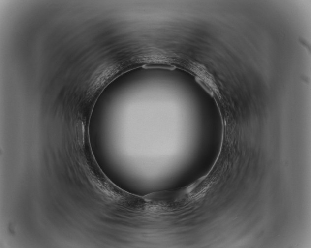 X0000097470109200802291320