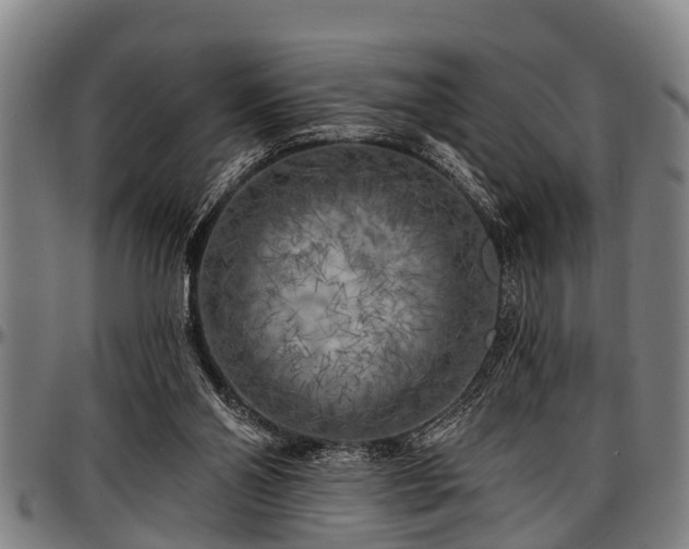 X0000097470110200802291320