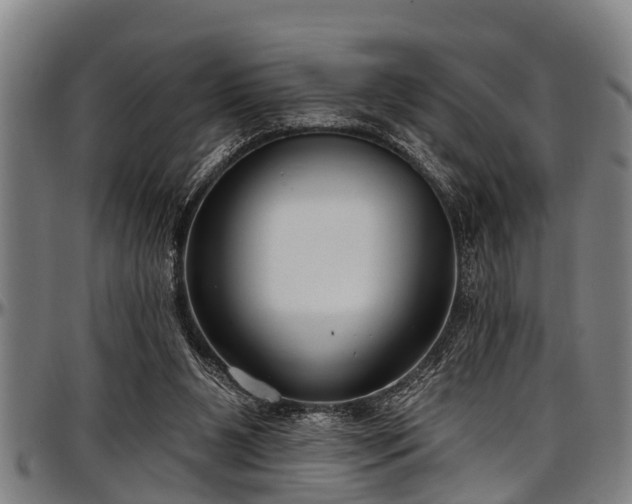 X0000097470111200802291320