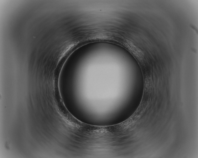 X0000097470112200802291320