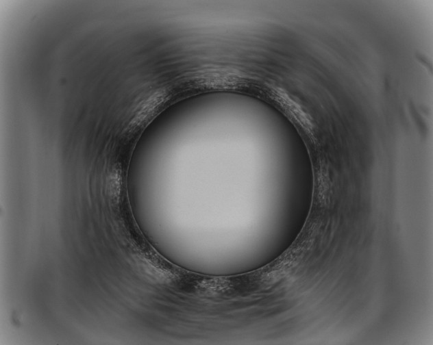 X0000097470113200802291320