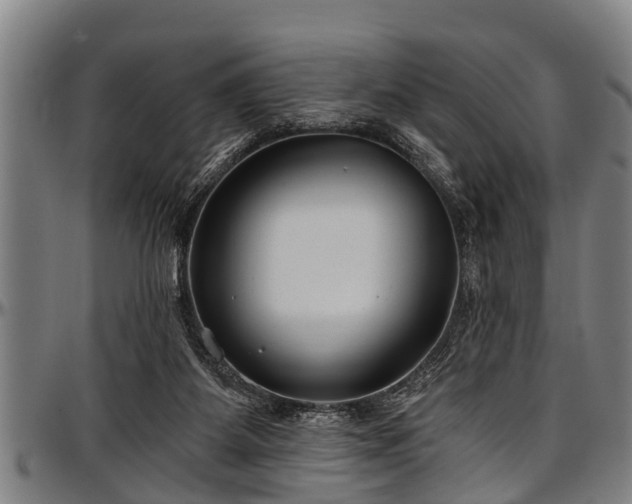 X0000097470115200802291320