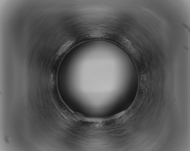 X0000097470116200802291320