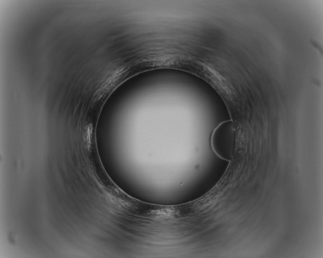 X0000097470118200802291320