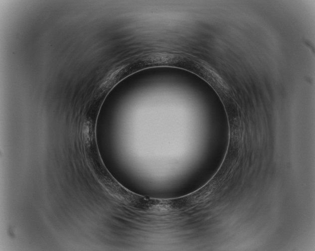 X0000097470119200802291320