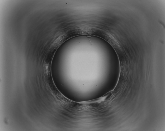 X0000097470123200802291320