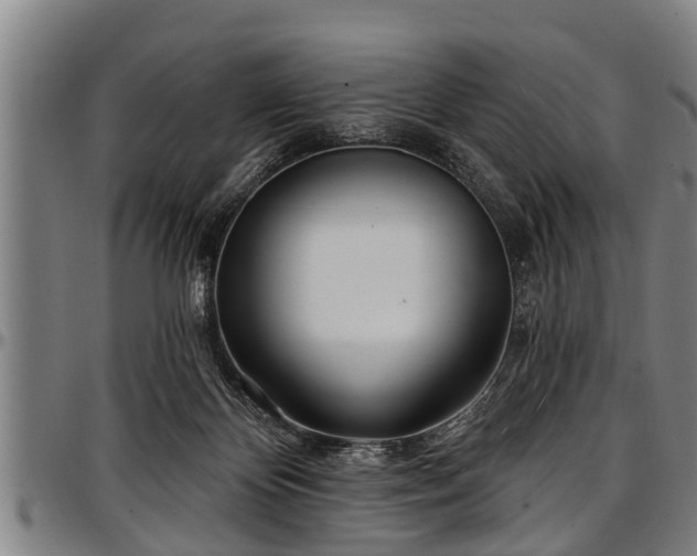 X0000097470124200802291320
