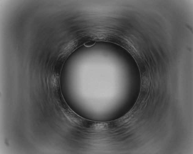X0000097470126200802291320