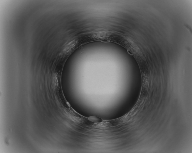 X0000097470128200802291320
