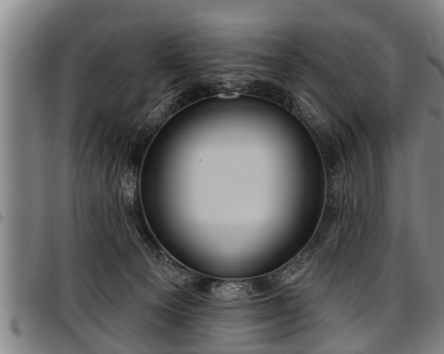 X0000097470129200802291320