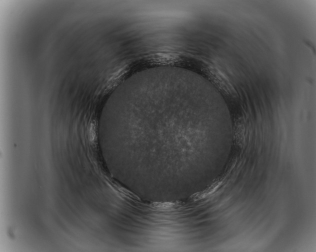 X0000097470131200802291320