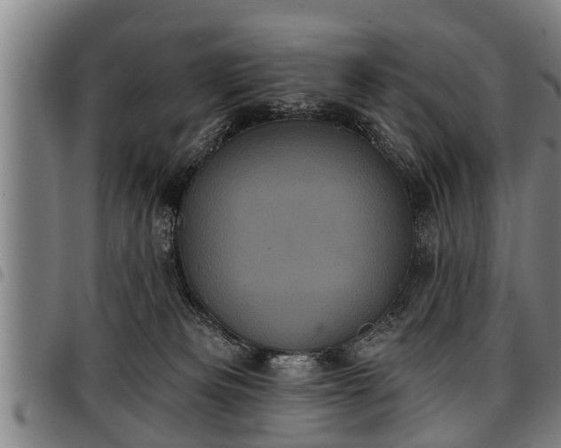 X0000097470133200802291320