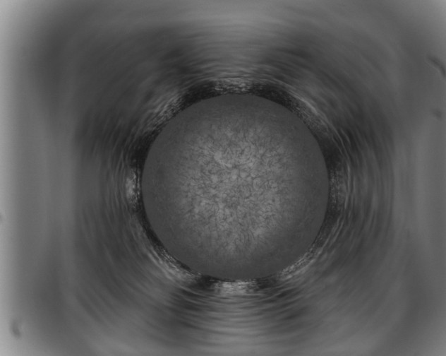 X0000097470134200802291320