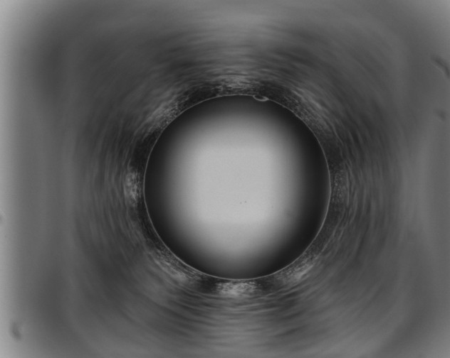 X0000097470135200802291320