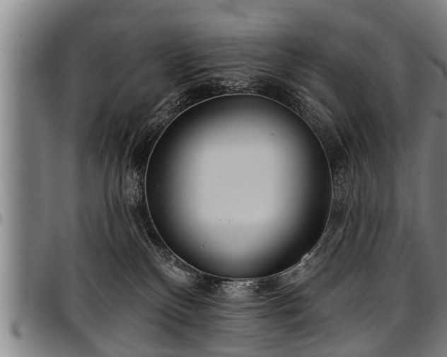 X0000097470136200802291320