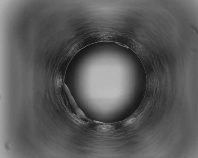 X0000097470137200802291320