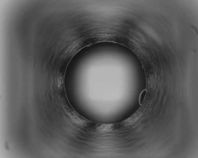 X0000097470138200802291320