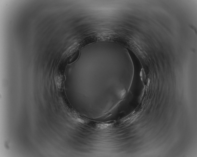 X0000097470139200802291320