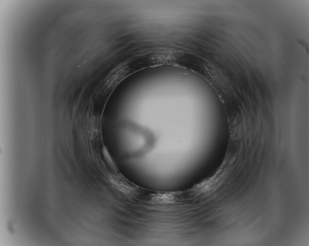 X0000097470140200802291320