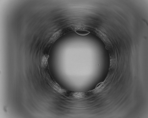 X0000097470142200802291320