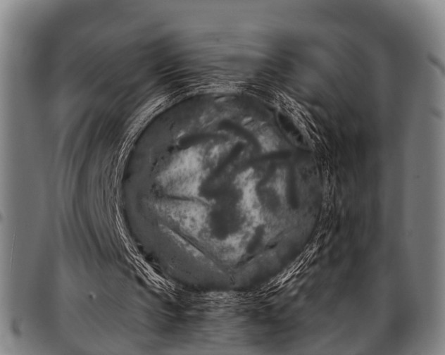 X0000097470145200802291319