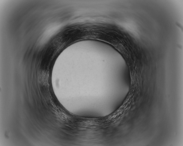 X0000097470146200802291319