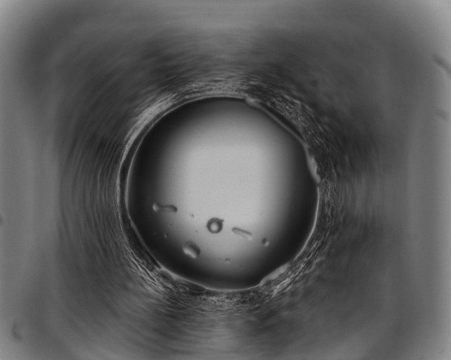 X0000097470148200802291319