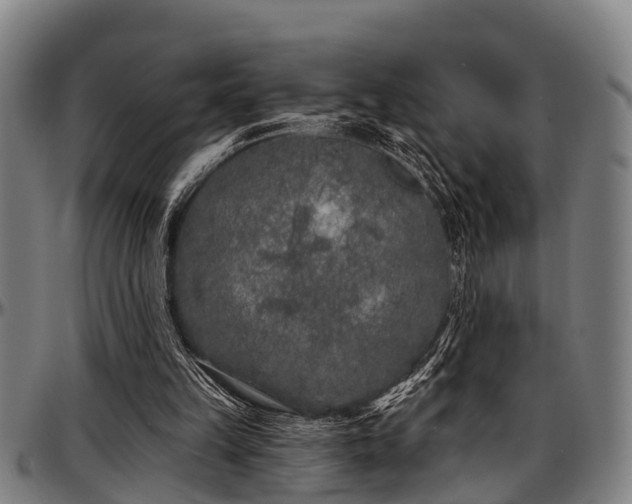 X0000097470149200802291319