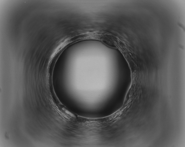 X0000097470150200802291319