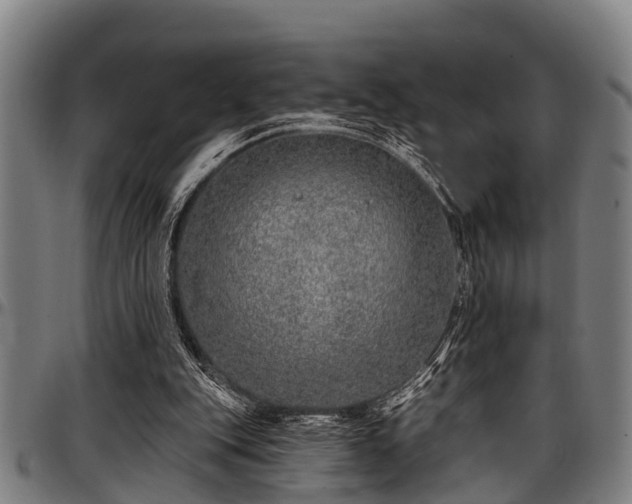X0000097470151200802291319
