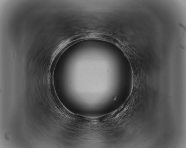 X0000097470152200802291319