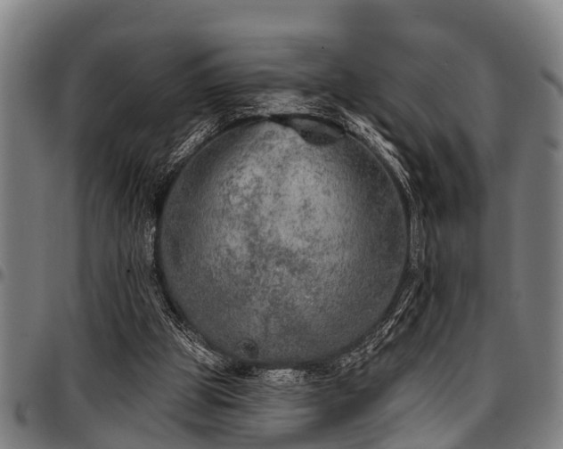 X0000097470153200802291319
