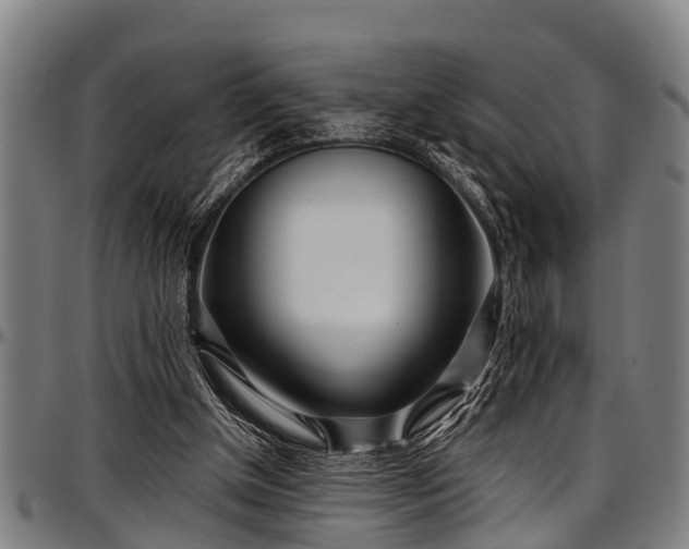 X0000097470154200802291319