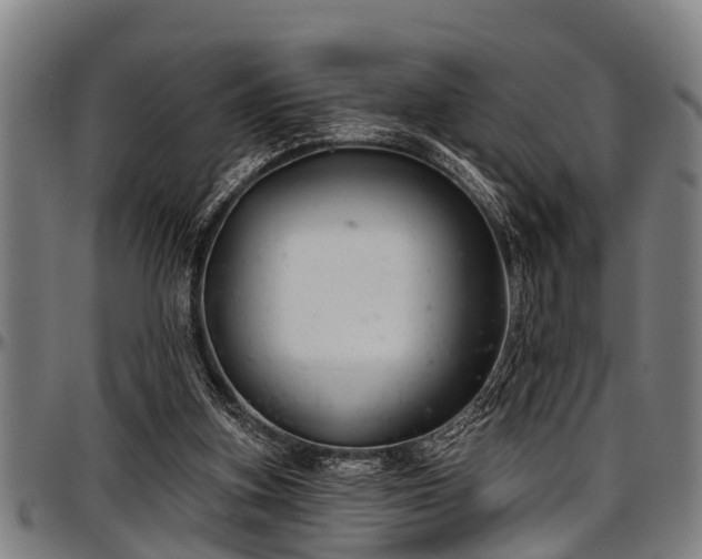 X0000097470155200802291319