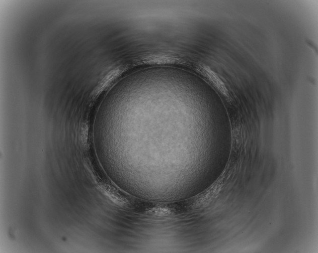 X0000097470159200802291319