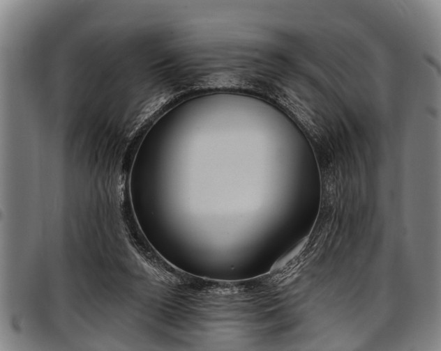 X0000097470160200802291319