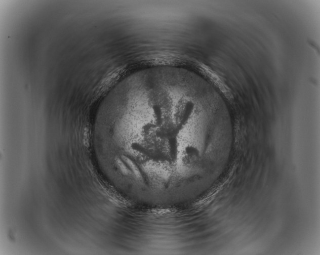 X0000097470161200802291319